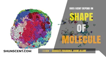 Molecular Shape and Scent: Unraveling the Connection Between Form and Fragrance