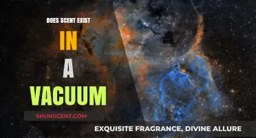 Does Scent Exist in a Vacuum? Exploring Olfactory Mysteries in Space