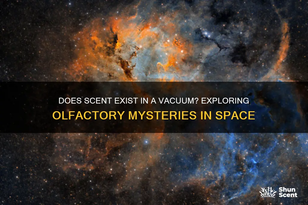 does scent exist in a vacuum