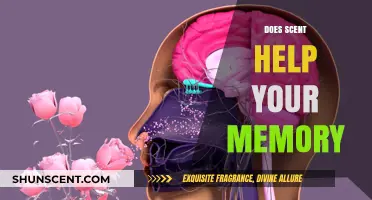 Scents and Memories: Unlocking the Power of Smell to Enhance Recall