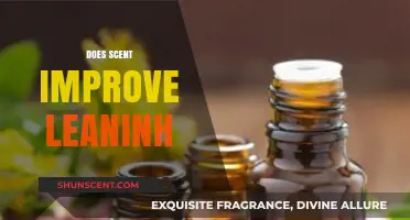 Can Aromatherapy Enhance Focus and Boost Learning Efficiency?