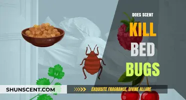 Can Scents Effectively Eliminate Bed Bugs? Uncovering the Truth