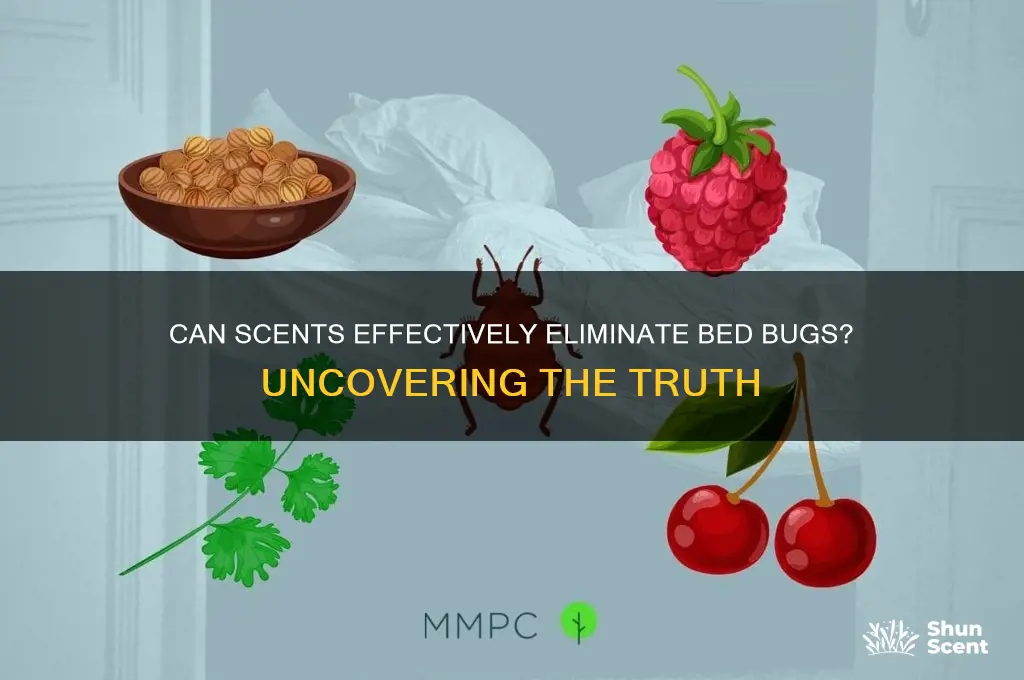 does scent kill bed bugs