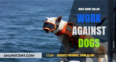 Does Scent Killer Effectively Mask Human Odor from Dogs?