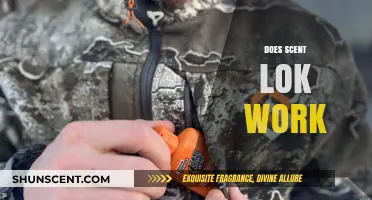 Does Scent Lok Work? Uncovering the Truth Behind Scent Control Technology