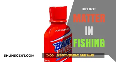 Does Scent Matter in Fishing? Unlocking the Secret to Catching More Fish