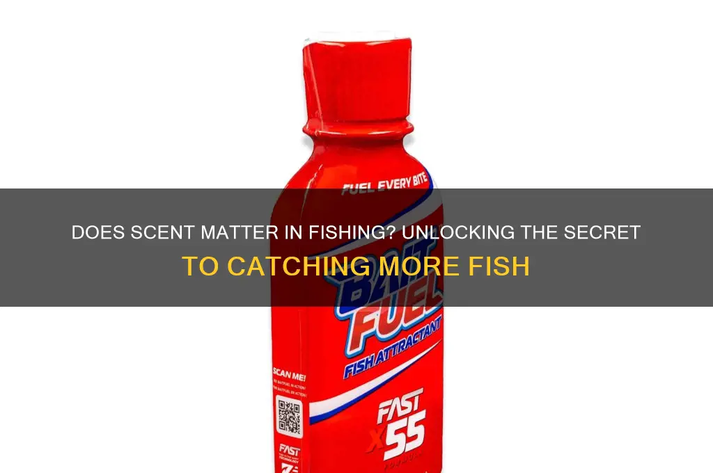 does scent matter in fishing