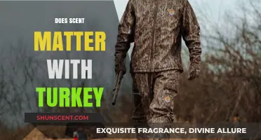 Does Scent Really Matter When Hunting Turkey? Expert Insights