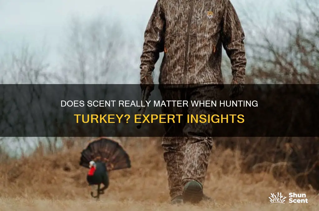 does scent matter with turkey
