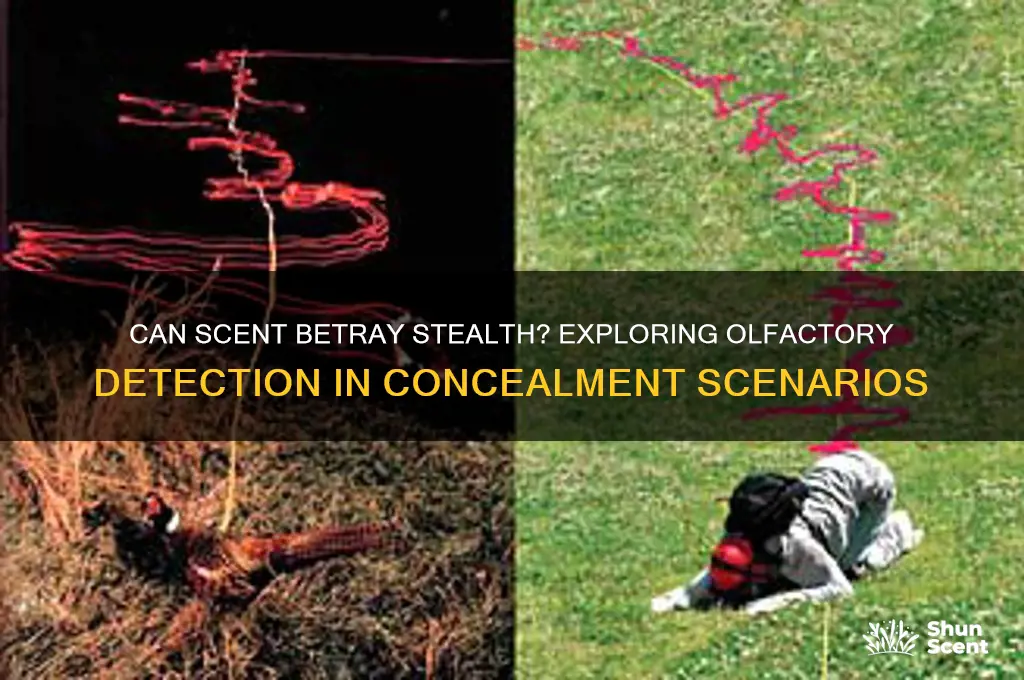 does scent negate total concealment