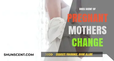Pregnancy's Aromatic Shift: Exploring Changes in a Mother's Scent