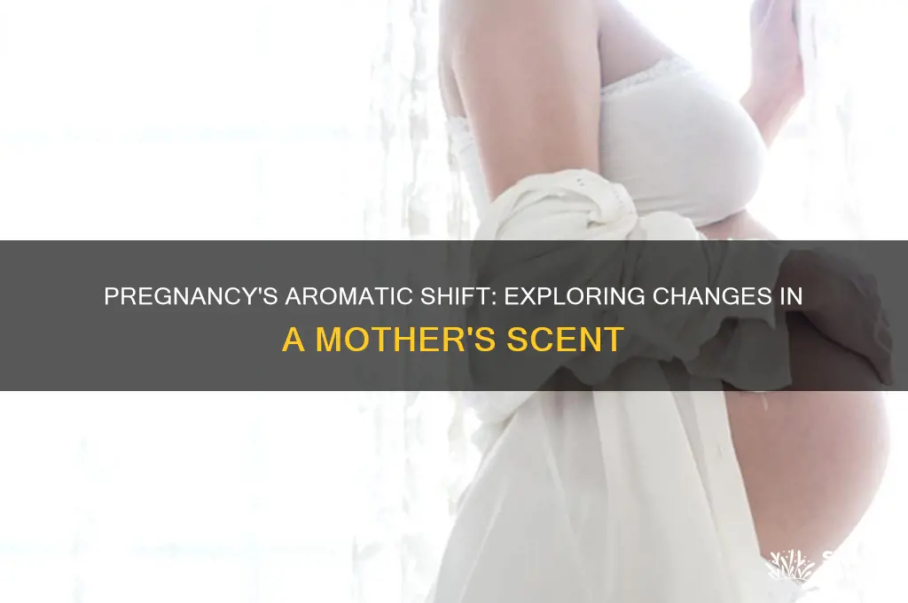 does scent of pregnant mothers change