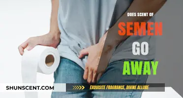Does Semen Smell Disappear? Understanding and Eliminating the Scent