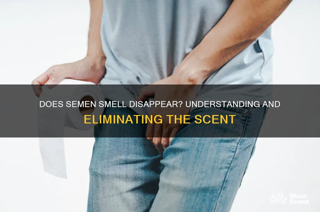 does scent of semen go away