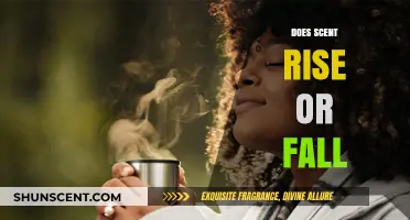 Does Scent Rise or Fall? Unraveling the Science of Fragrance Movement