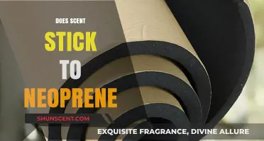 Does Scent Stick to Neoprene? Unraveling the Smell Mystery