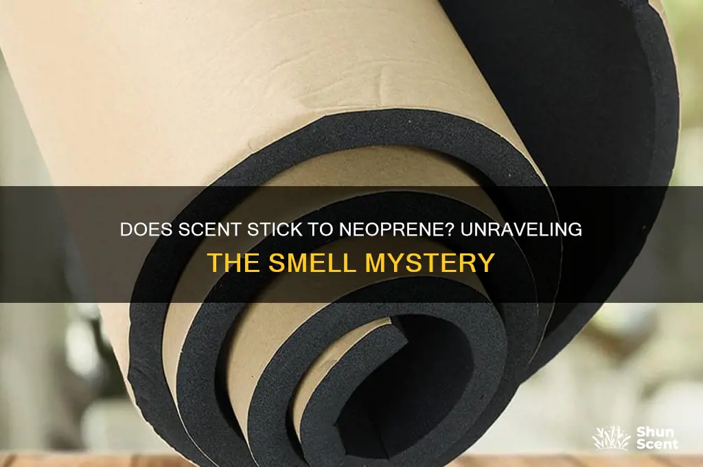 does scent stick to neoprene