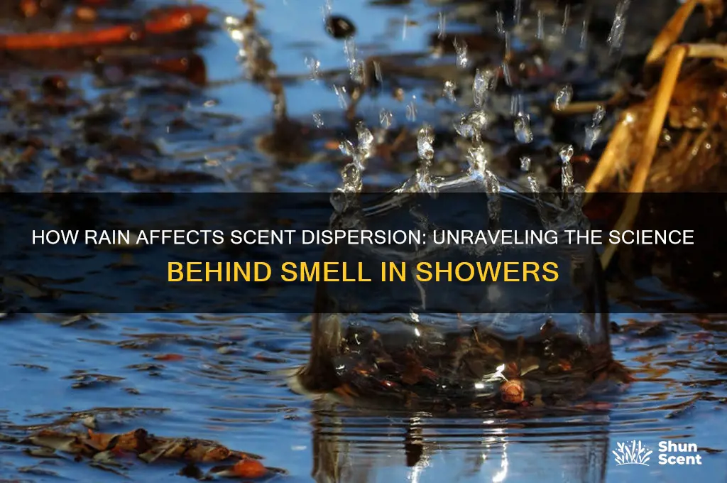 does scent travel in the rain
