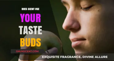 Scent and Taste Buds: Unraveling the Sensory Connection