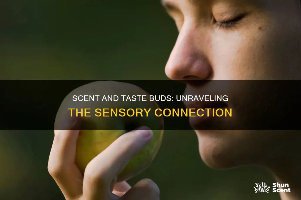 does scent use your taste buds