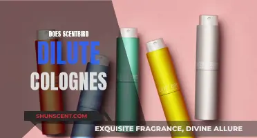 Scentbird's Colognes: Are They Worth the Money?