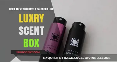 Scentbird vs. Luxury Scent Box: Calendar Comparison for Fragrance Lovers