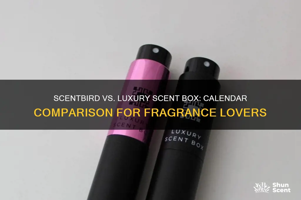 does scentbird have a calender like luxry scent box