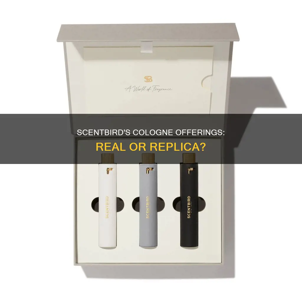 does scentbird use real cologne