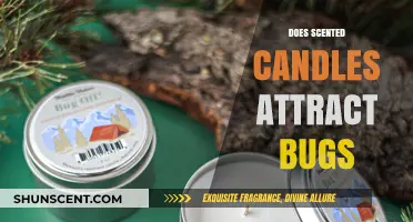 Do Scented Candles Attract Bugs? The Truth Revealed