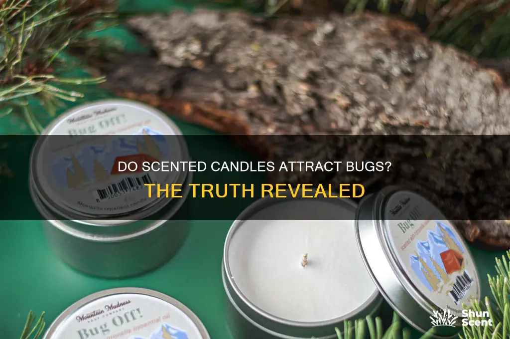 does scented candles attract bugs
