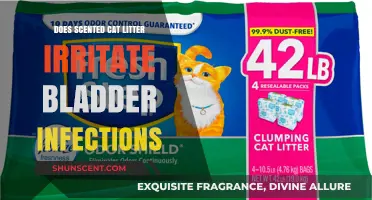 Can Scented Cat Litter Worsen Feline Bladder Infections? Find Out