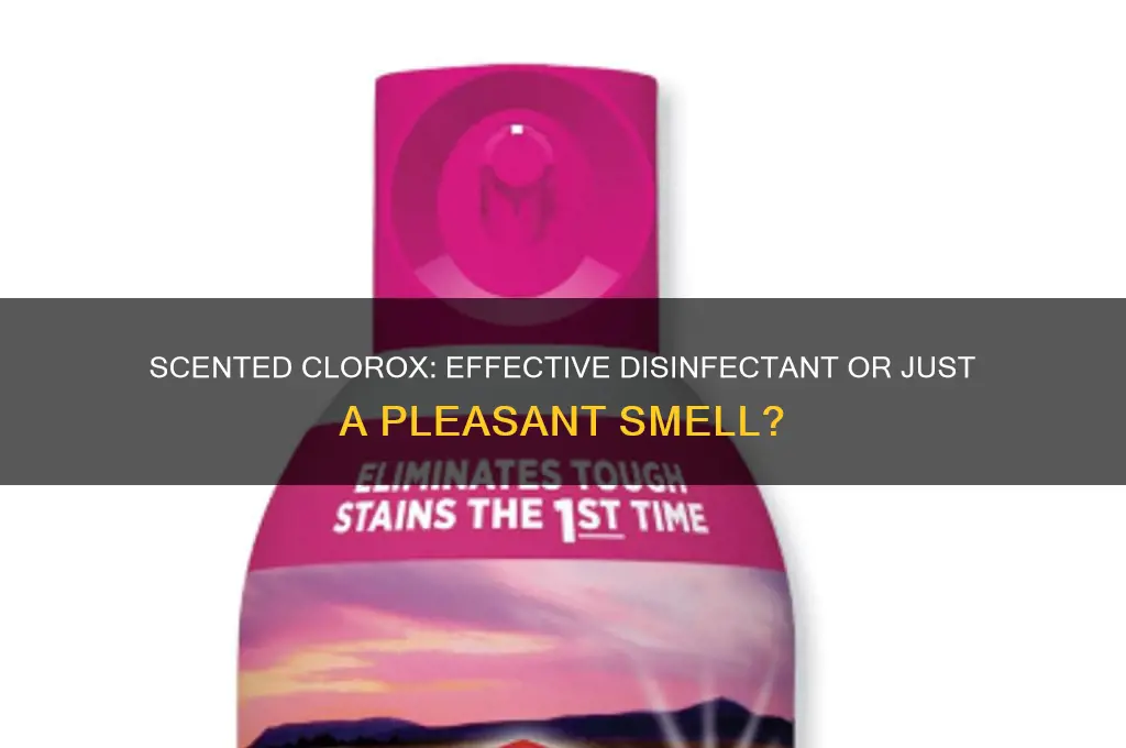 does scented clorox disinfect