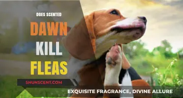 Does Scented Dawn Effectively Kill Fleas? A Comprehensive Guide