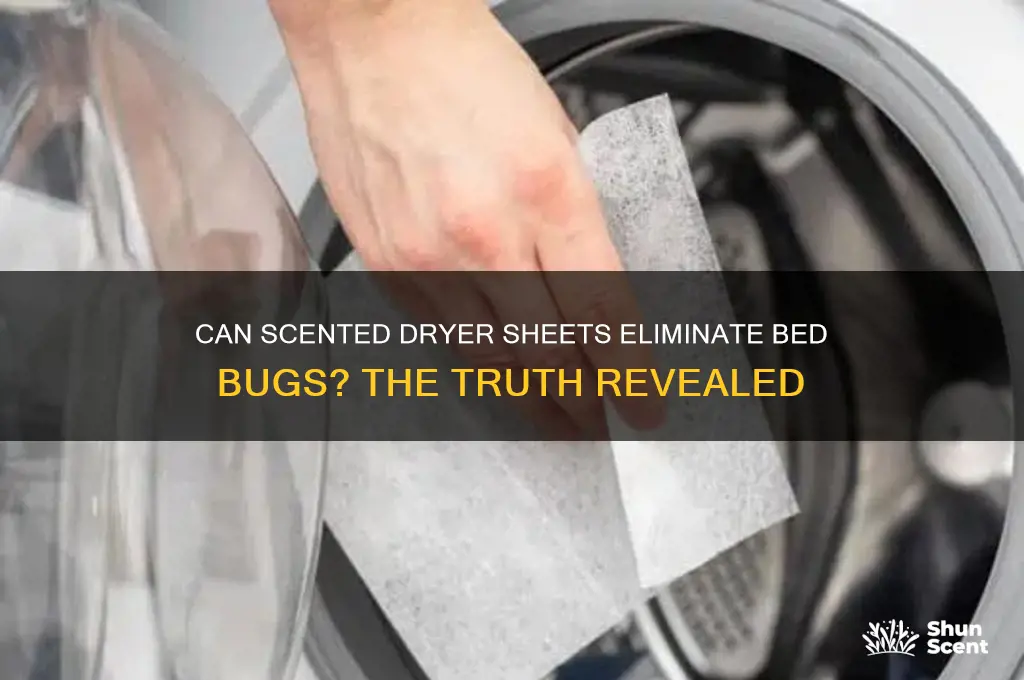 does scented dryer sheets kill bed bugs