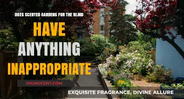 Scented Gardens for the Blind: Uncovering Any Inappropriate Content