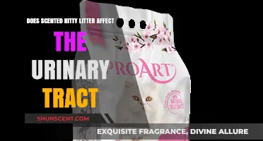 Scented Kitty Litter: Urinary Tract Health Risks Explained