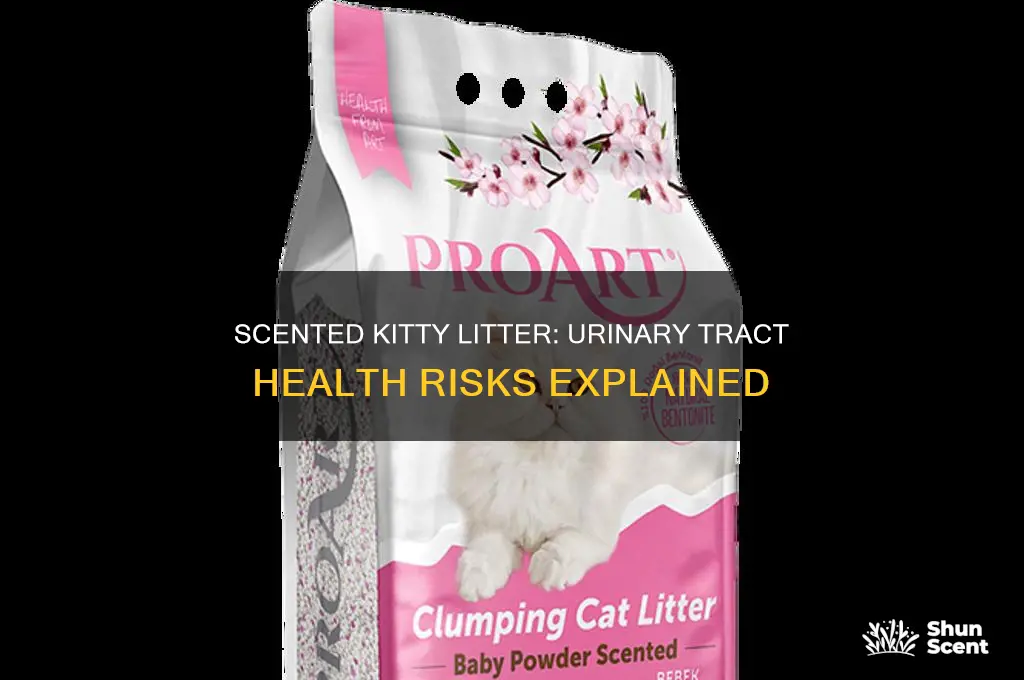 does scented kitty litter affect the urinary tract