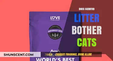 Does Scented Litter Bother Cats? Understanding Feline Preferences and Reactions