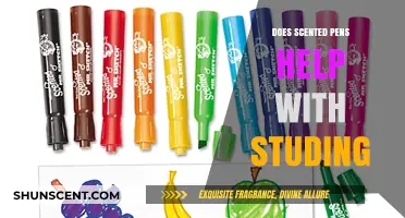 Scented Pens and Study Success: A Productivity Boost or Distraction?