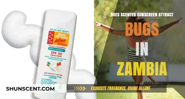 Scented Sunscreen and Bugs: Does It Attract Insects in Zambia?