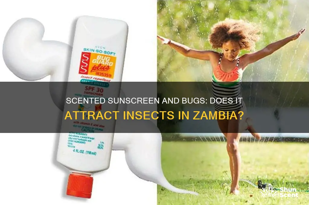 does scented sunscreen attract bugs in zambia