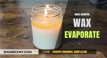 Does Scented Wax Evaporate? Unraveling the Mystery of Wax Melts