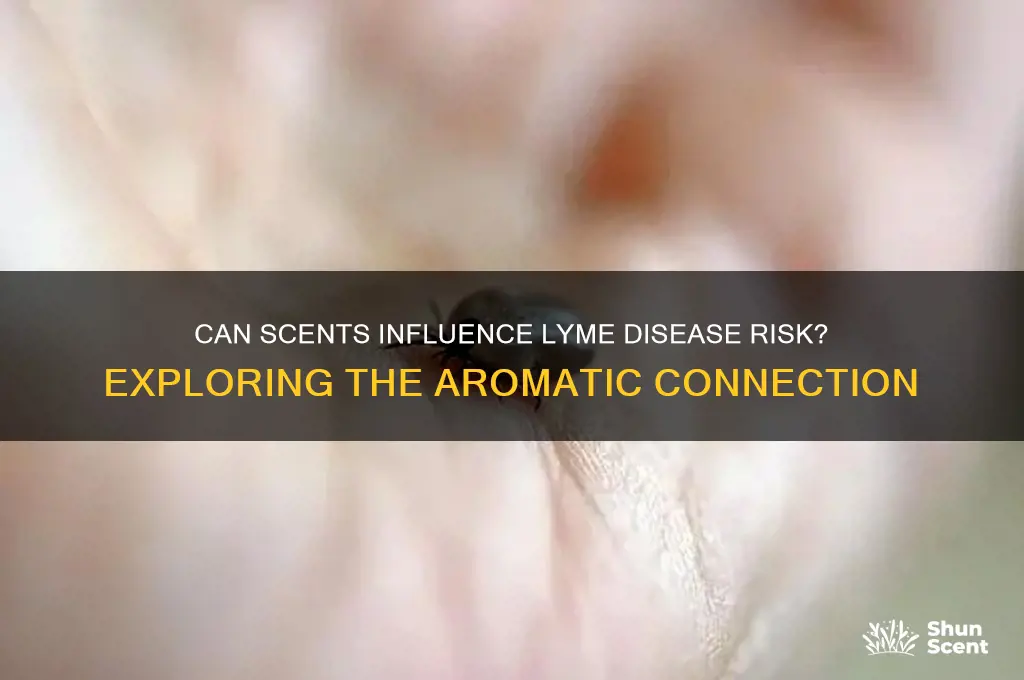 does scents affect lyme disease