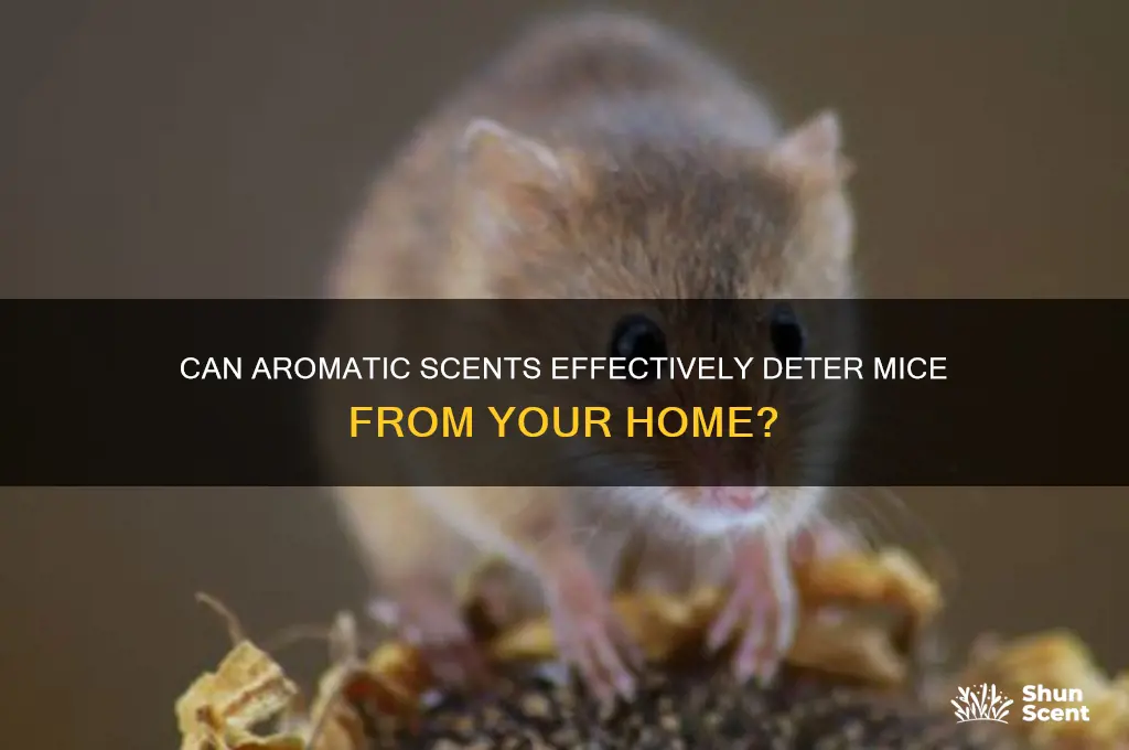 does scents keep mice away