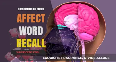 Scents and Memory: How Odors Influence Word Recall and Cognition