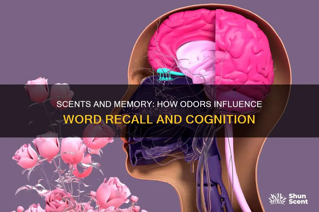 does scents or odors affect word recall