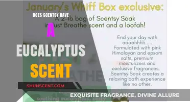 Discover Scentsy's Eucalyptus Scent: Fresh Aromas for Your Home