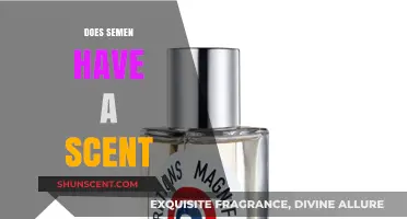 Does Semen Have a Scent? Exploring the Truth Behind the Smell
