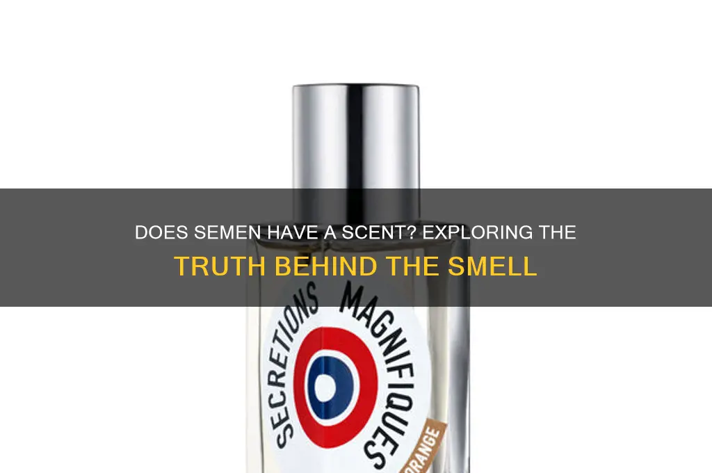 does semen have a scent