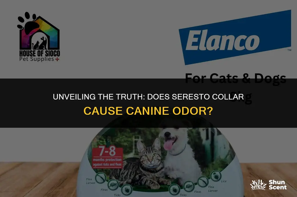 does seresto collar cause the dog to smell